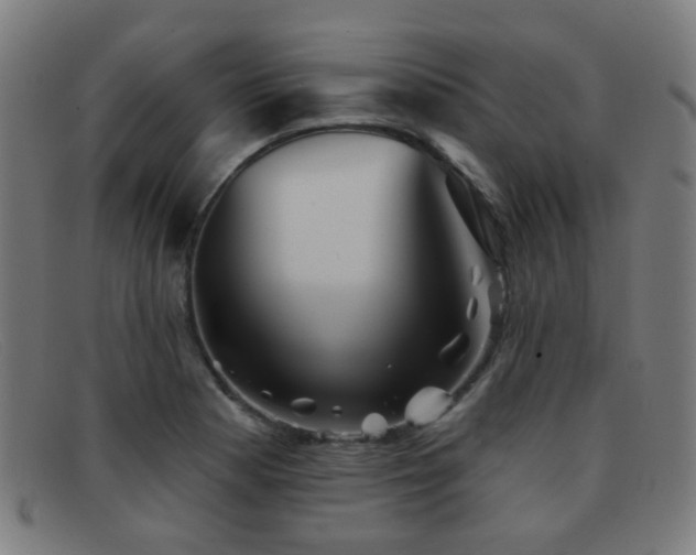 X0000092041177200709121148