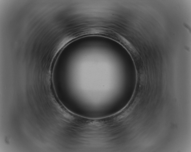 X0000092041178200709121148