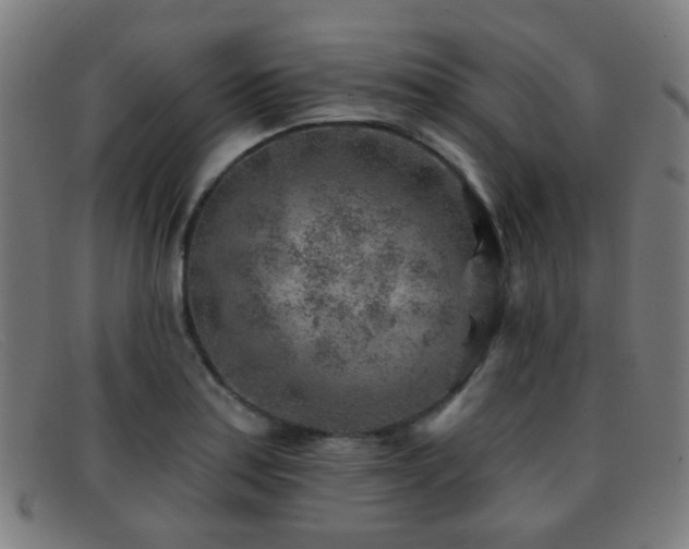 X0000092041179200709121148