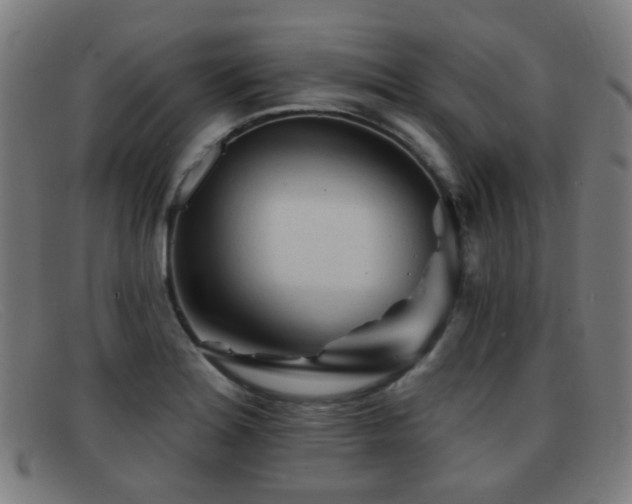 X0000092041180200709121148