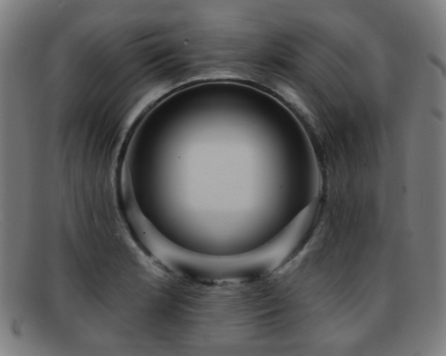 X0000092041181200709121148