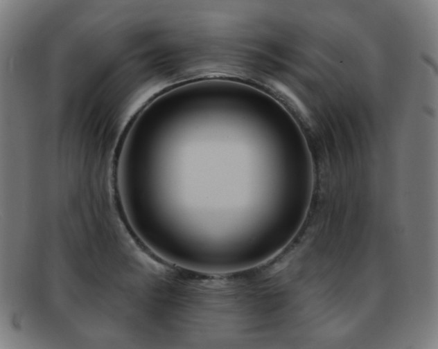 X0000092041182200709121148