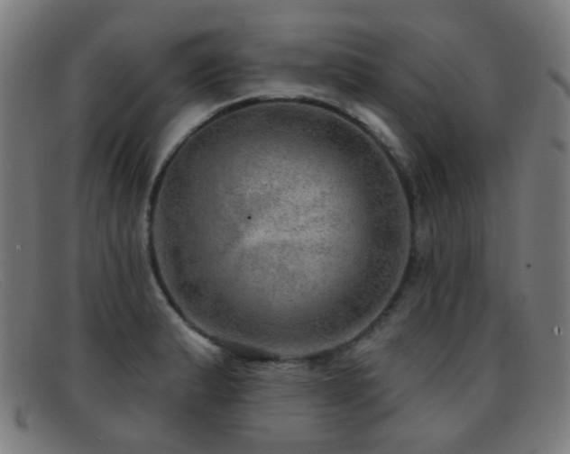 X0000092041183200709121148