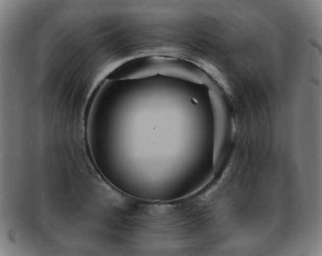 X0000092041184200709121148