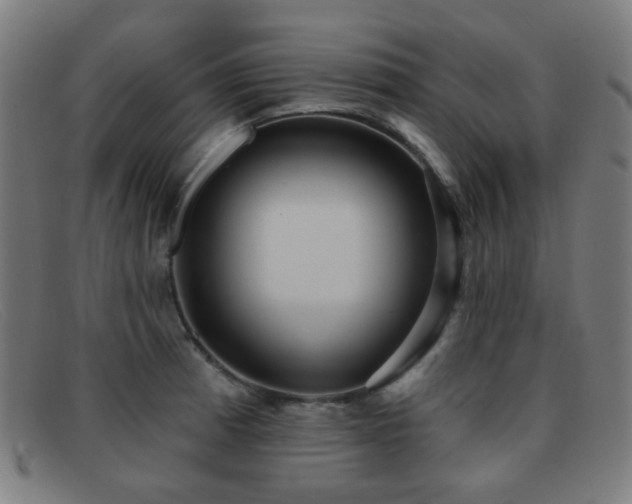 X0000092041185200709121148