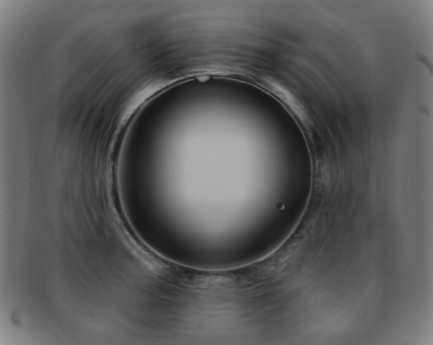 X0000092041187200709121148