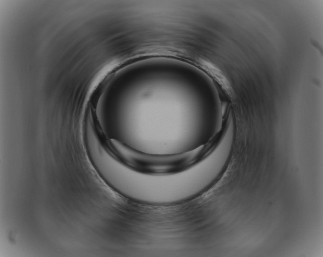 X0000092041188200709121148