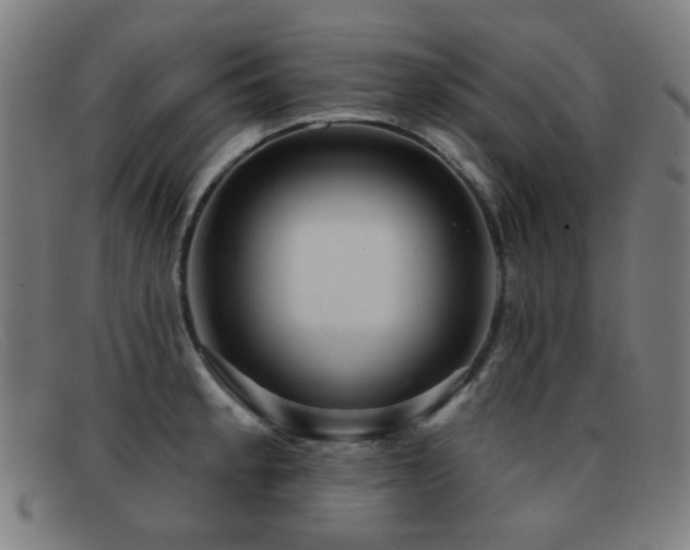 X0000092041189200709121148