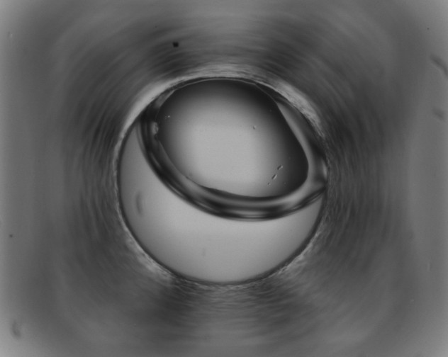 X0000092041192200709121147