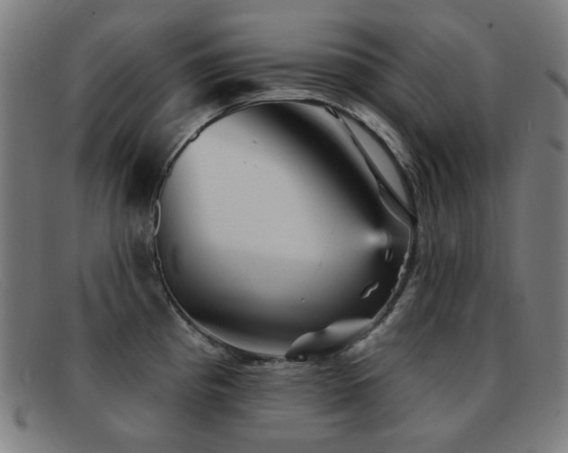 X0000092041193200709121147
