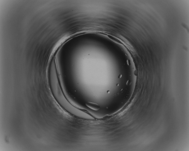 X0000092041196200709121147