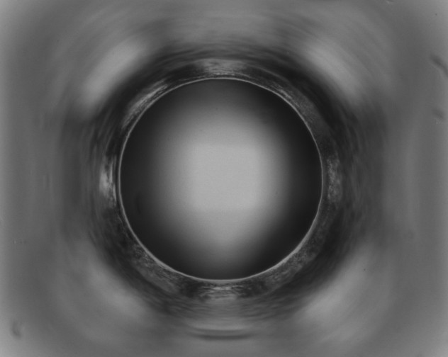 X0000092041198200709121147