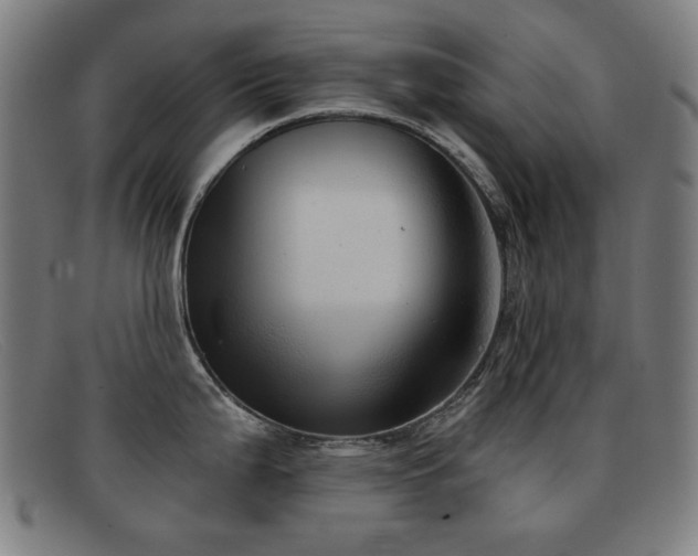 X0000092041199200709121147