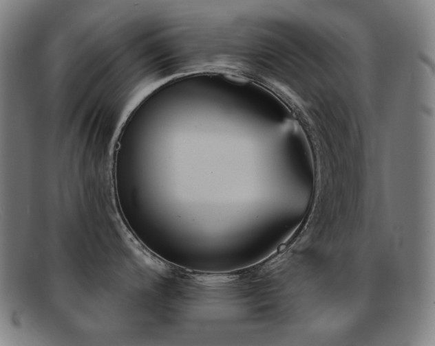 X0000092041200200709121147