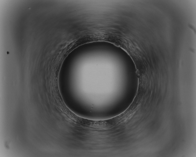 X0000092041201200709121147
