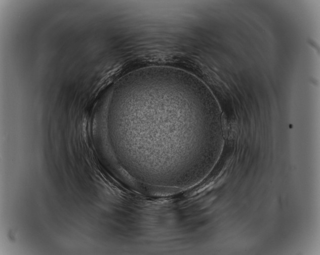 X0000092041202200709121147