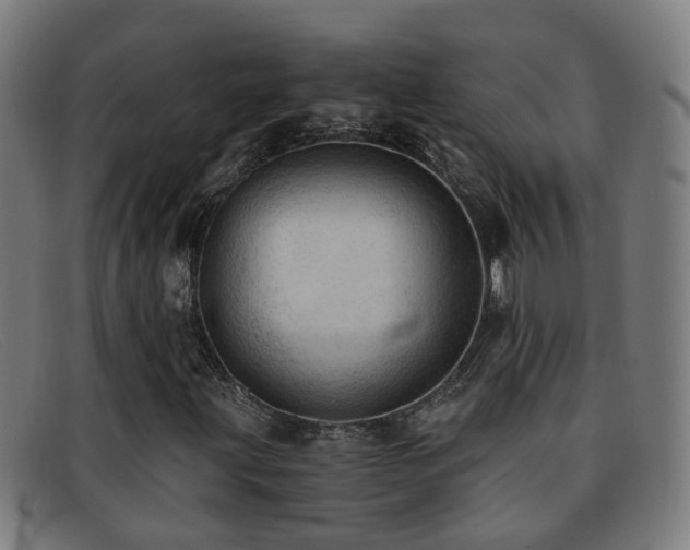 X0000092041203200709121147