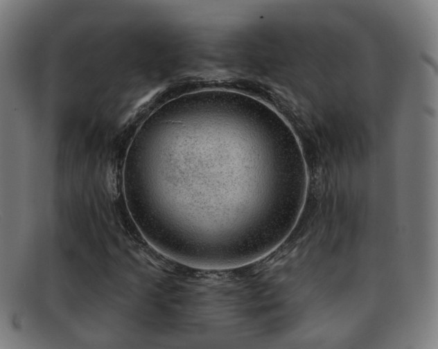 X0000092041205200709121147