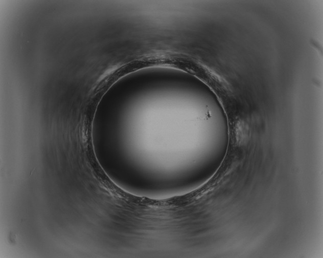 X0000092041206200709121147