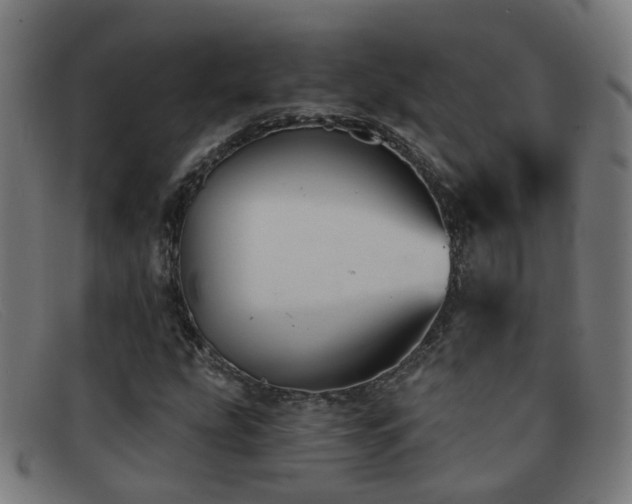 X0000092041207200709121147