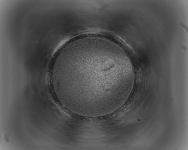 X0000092041208200709121147