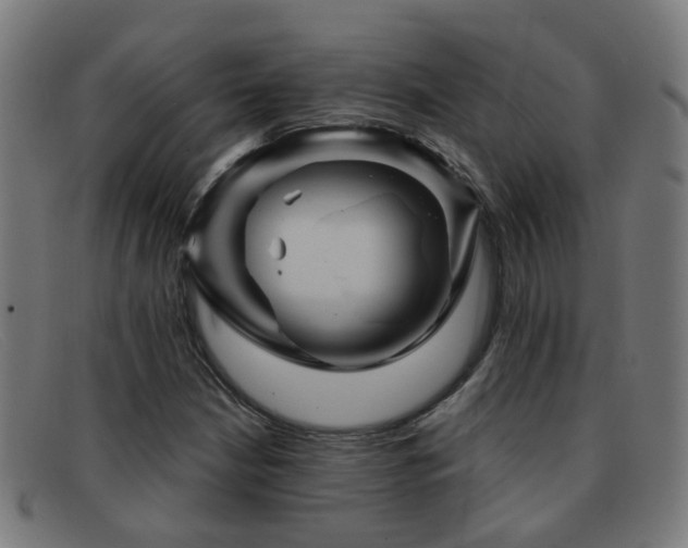 X0000092041210200709121147
