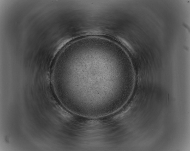 X0000092041212200709121147