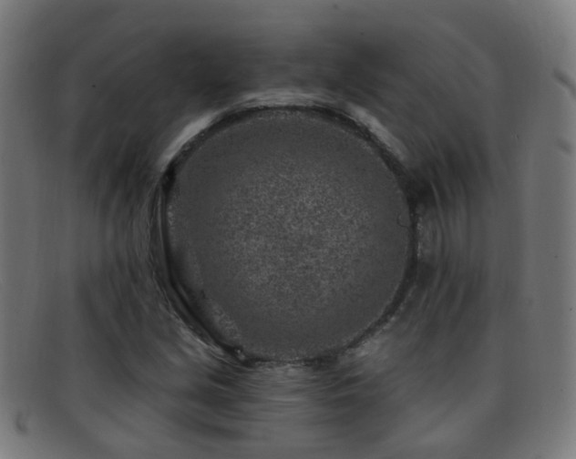 X0000092041213200709121147