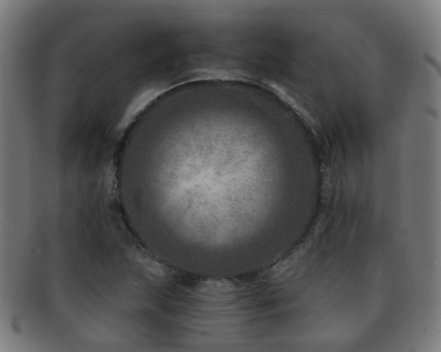 X0000092041215200709121147