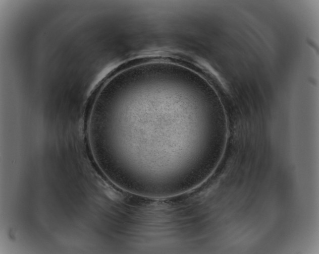X0000092041216200709121147