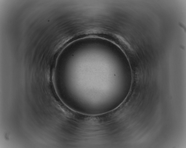 X0000092041217200709121147