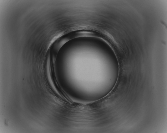X0000092041218200709121147