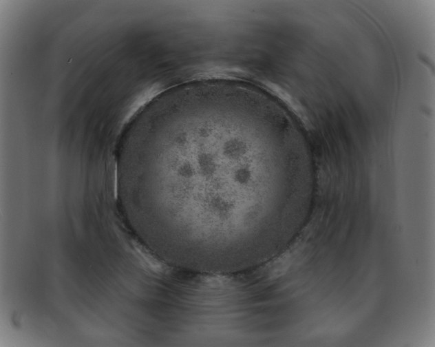 X0000092041219200709121147