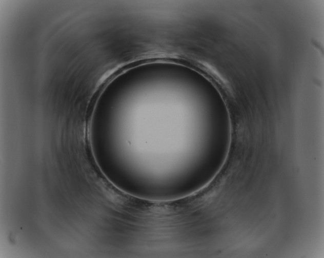 X0000092041220200709121147