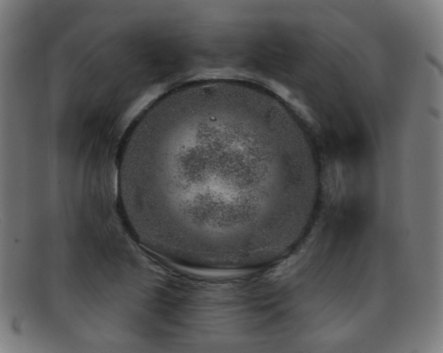 X0000092041221200709121147