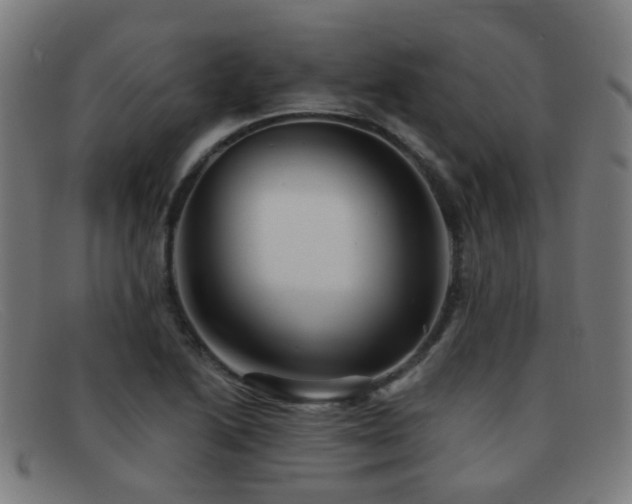X0000092041222200709121147