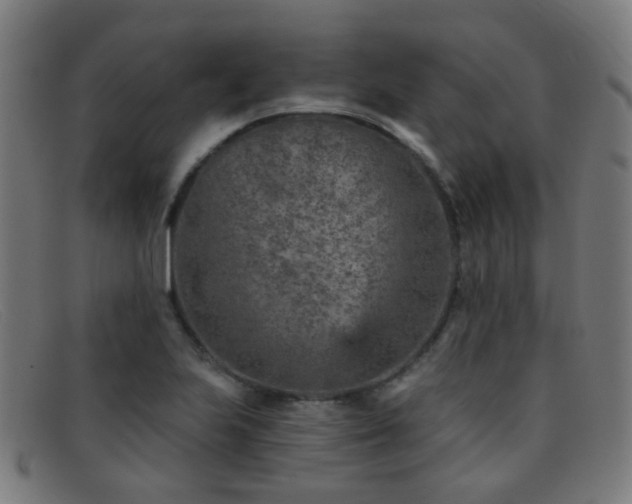 X0000092041223200709121147