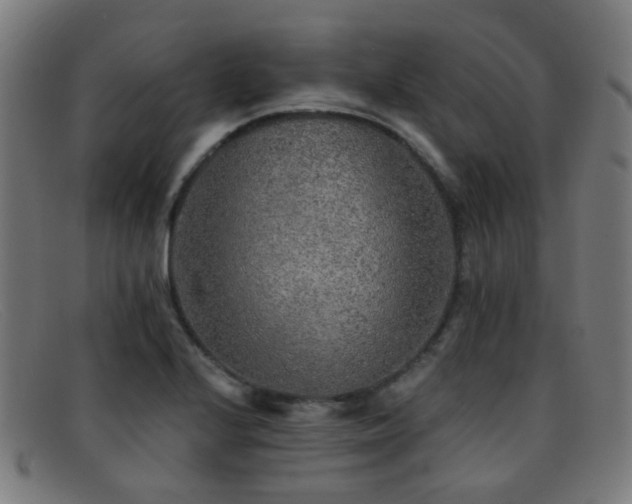 X0000092041224200709121147