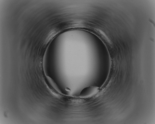 X0000092041225200709121147