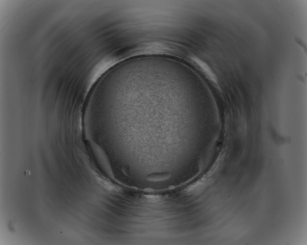 X0000092041226200709121147