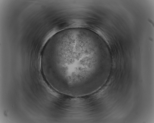 X0000092041227200709121147