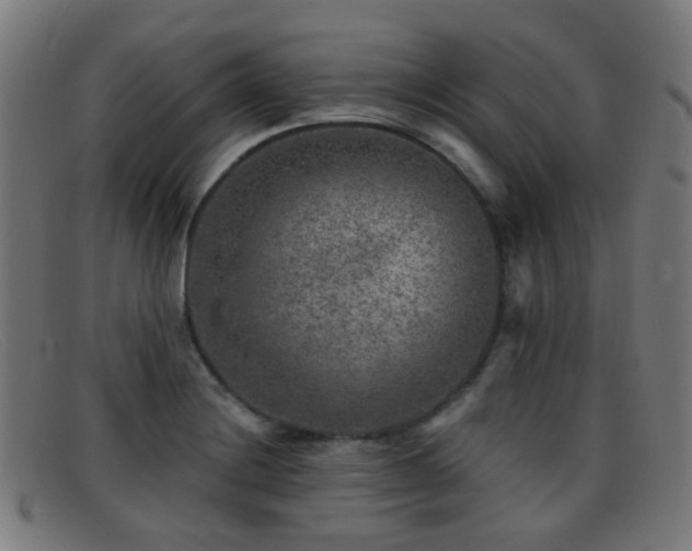 X0000092041228200709121147