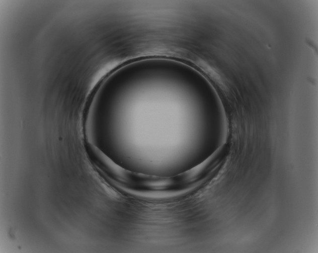 X0000092041230200709121147