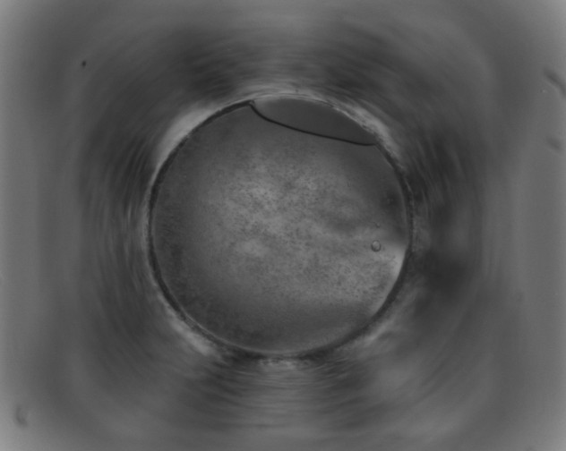 X0000092041231200709121147