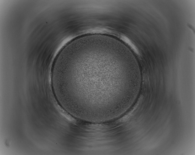 X0000092041232200709121147