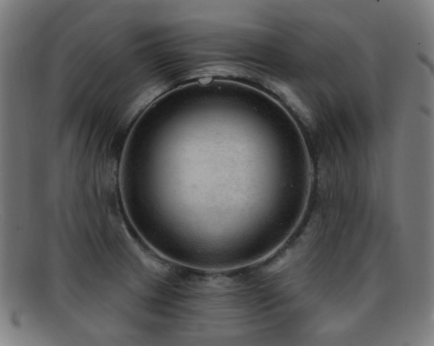 X0000092041233200709121147