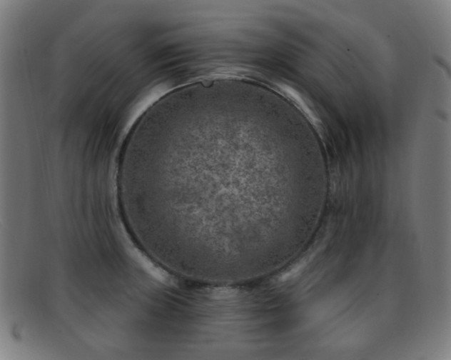 X0000092041235200709121147