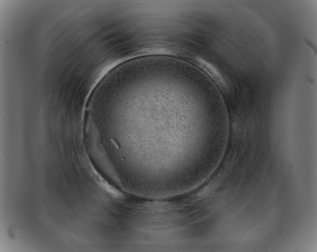 X0000092041236200709121147