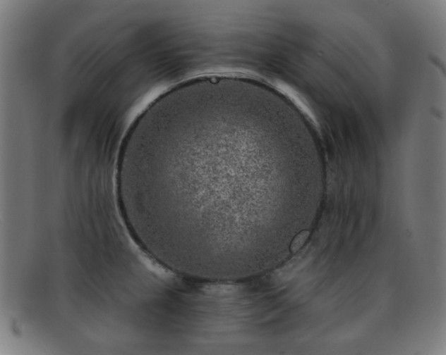 X0000092041237200709121147