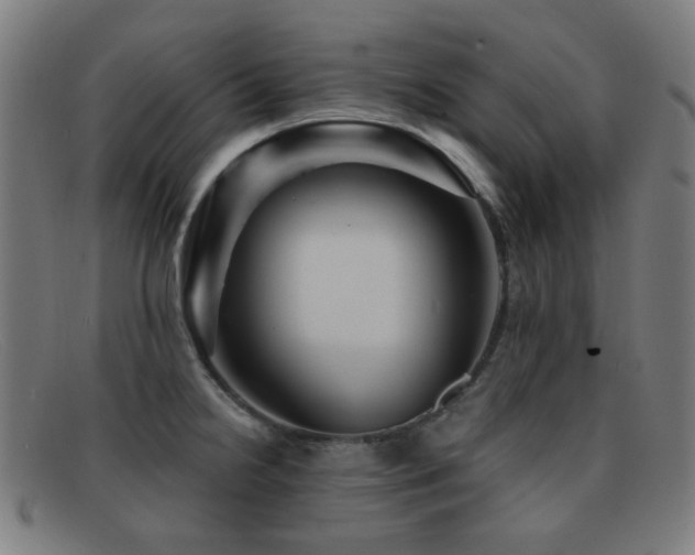 X0000092041238200709121147